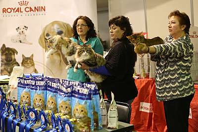 �������� ����� 18-19 ������� 2014 WCF-����� 169A3232 copy.jpg